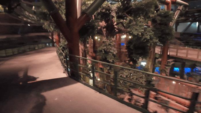 体育生可不止出现在成都大运会