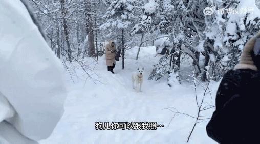这帮糊咖翻红，全靠她一手操办