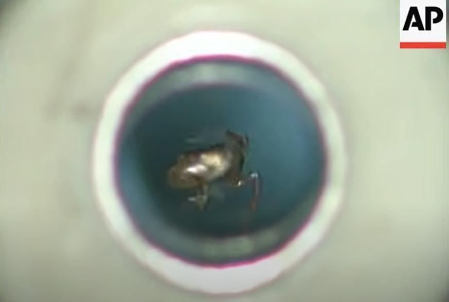 韩国人的室温超导靠谱吗？我们找业内大佬们聊了聊。