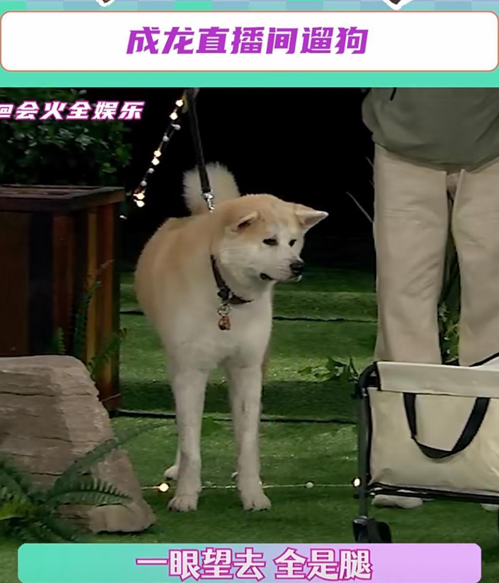 他居然69岁了吗?