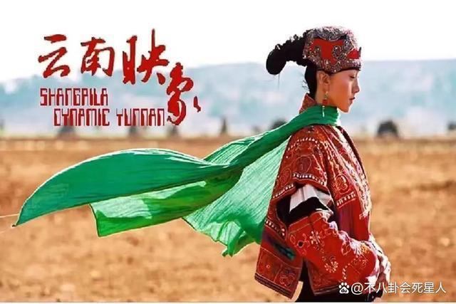 杨丽萍摸裆孔雀舞后又被骂，带货赚翻却拖欠工资忽悠员工？