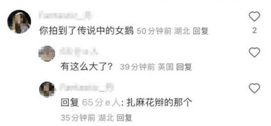 杜江夫妇甜蜜看展，霍思燕从背后抱住老公撒娇
