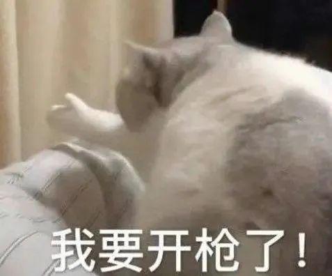 她官宣退圈？？？