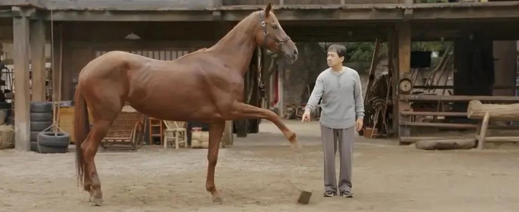 成龙这回真的栽了……