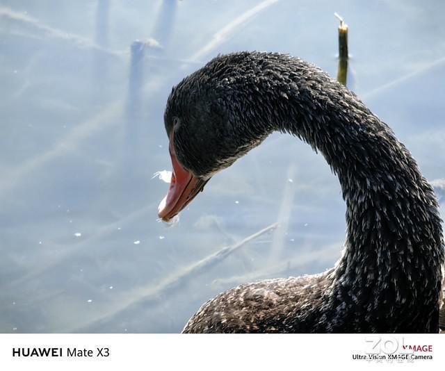 只贵1块钱，三星Galaxy Z Fold5打得过华为Mate X3吗？