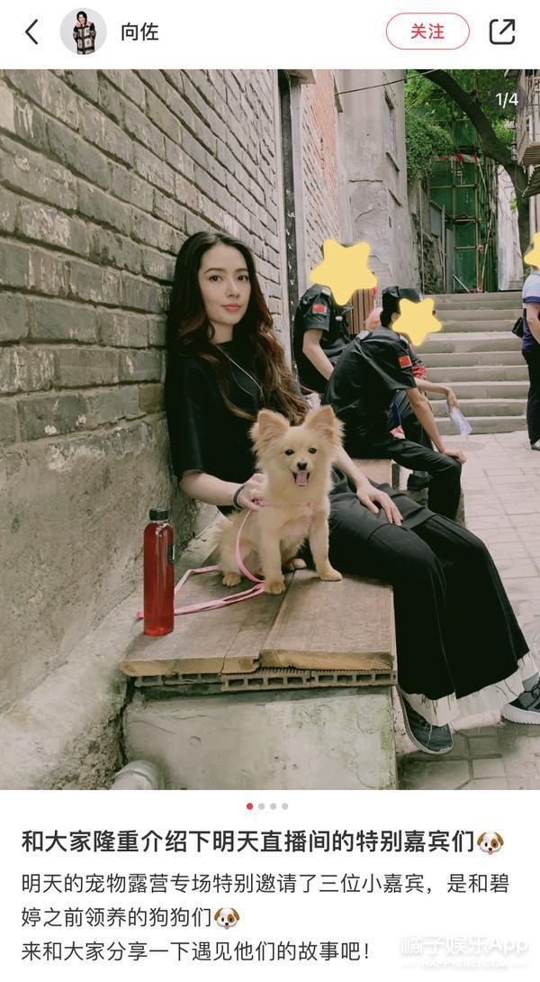都说她赢麻了？颜值改变后，她越来越像豪门贵妇了.