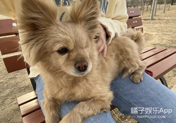 都说她赢麻了？颜值改变后，她越来越像豪门贵妇了.