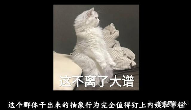 嘲讽魏大勋丑还骂观众，路温掉粉近30万，商务也被网友抵制