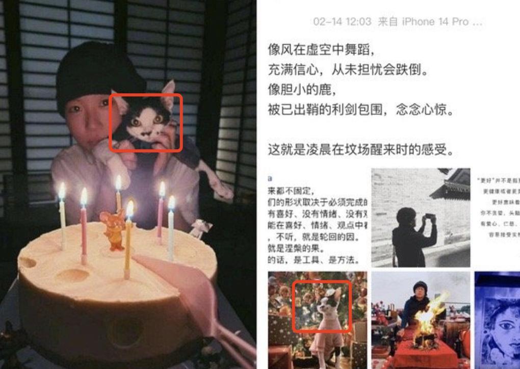 她的新男友，竟是个抠门男？