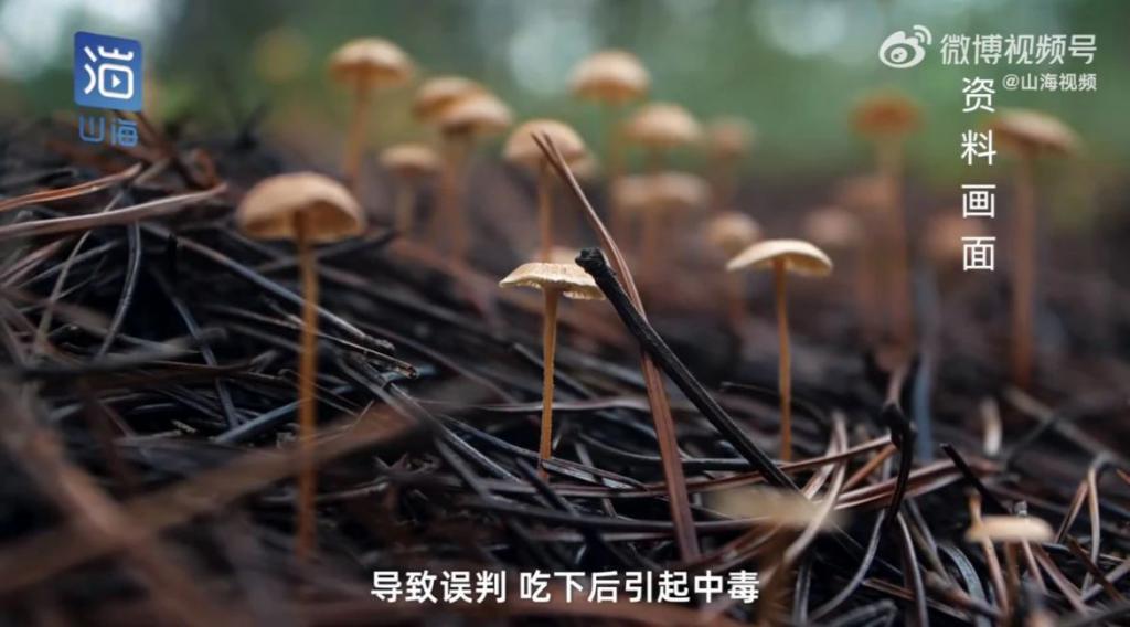 BP最新承认恋情的居然是她？