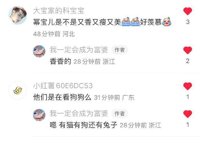 网友偶遇杨幂吴宣仪逛街 路边围观猫猫狗狗小摊接地气