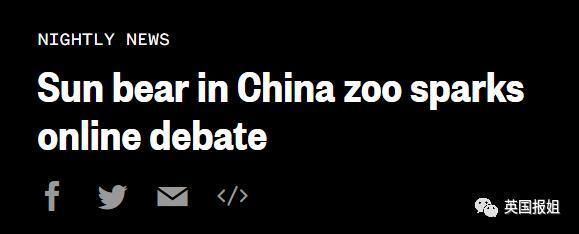 中国动物园的一头熊一夜之间火爆全球！国外媒体网友陷入疯狂：“它到底是熊还是人？！”