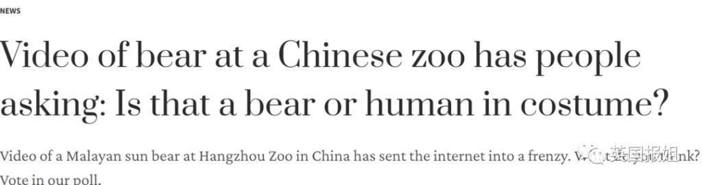 中国动物园的一头熊一夜之间火爆全球！国外媒体网友陷入疯狂：“它到底是熊还是人？！”