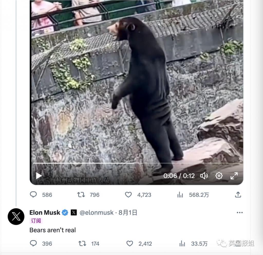 中国动物园的一头熊一夜之间火爆全球！国外媒体网友陷入疯狂：“它到底是熊还是人？！”