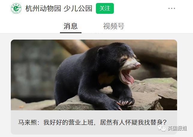 中国动物园的一头熊一夜之间火爆全球！国外媒体网友陷入疯狂：“它到底是熊还是人？！”