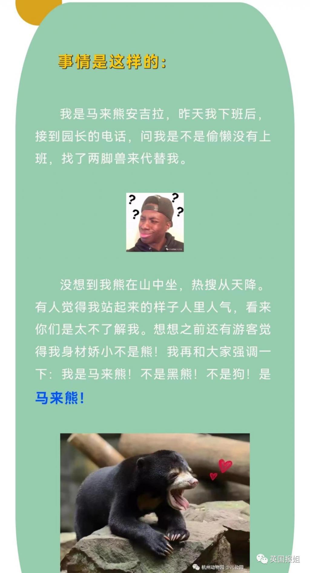 中国动物园的一头熊一夜之间火爆全球！国外媒体网友陷入疯狂：“它到底是熊还是人？！”