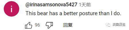中国动物园的一头熊一夜之间火爆全球！国外媒体网友陷入疯狂：“它到底是熊还是人？！”