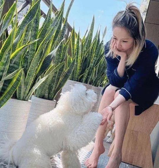 她不是退圈，而是…