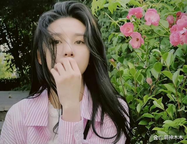 众星援助河北：黄晓明反应最快，小杨哥捐2000万