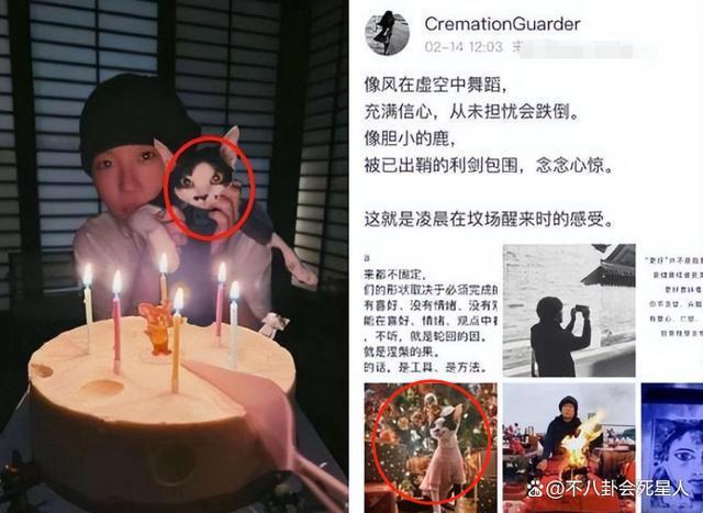 与女导演传婚讯？窦靖童身处沼泽，却活成最自由的星二代