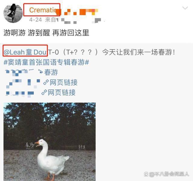 与女导演传婚讯？窦靖童身处沼泽，却活成最自由的星二代