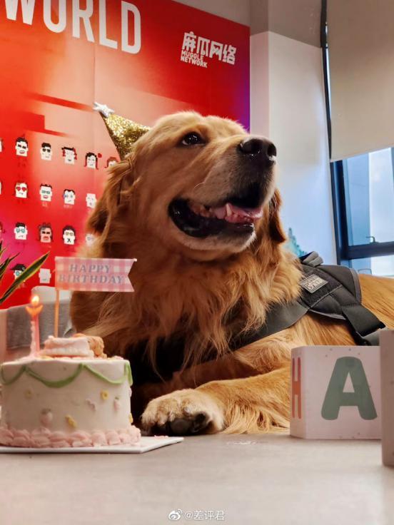 用上了大模型的鸿蒙4，是我见过最有个性的一代。