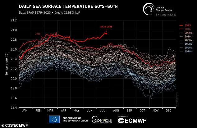 20.96 摄氏度！海面平均温度刷新纪录：会让鲨鱼更暴躁