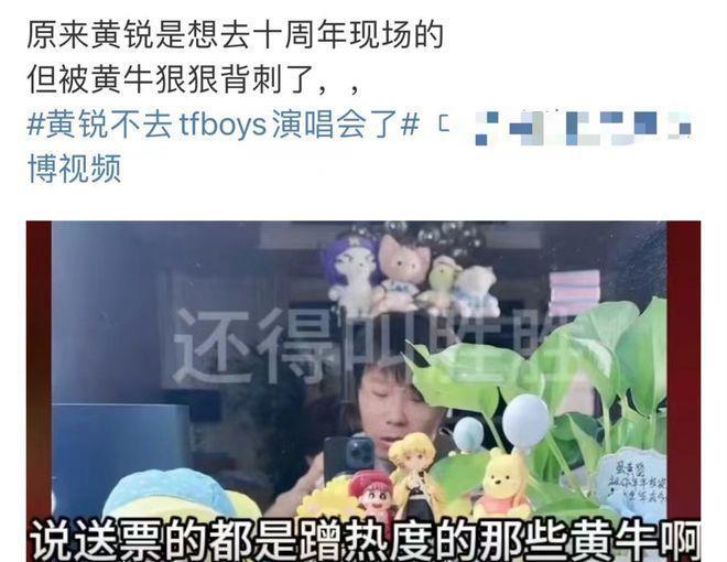 众星参加TFBOYS演唱会！徐峥陶虹到场，张杰送花篮，蓝羽做主持人