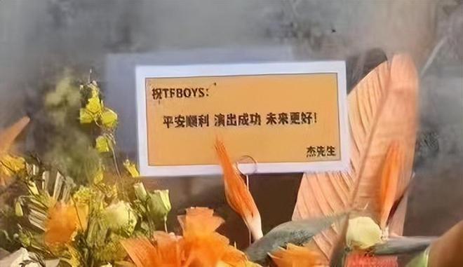 众星参加TFBOYS演唱会！徐峥陶虹到场，张杰送花篮，蓝羽做主持人