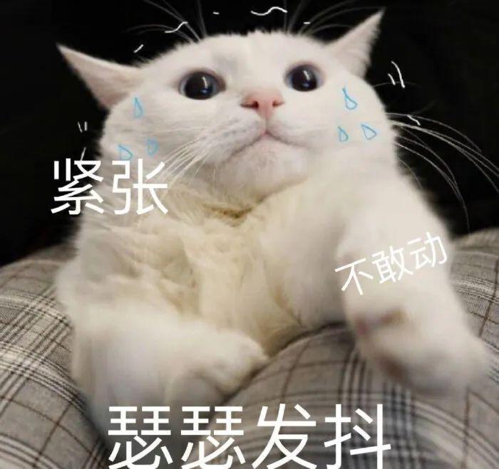 啊？姐弟恋复合，婚房都悄悄买好了？