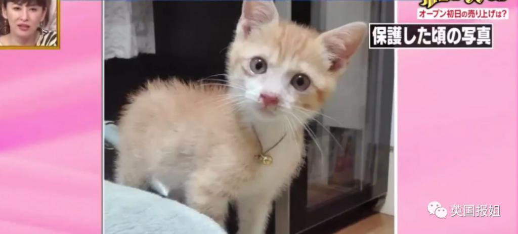 “日本最省钱女孩”火了！每天只花10块，33岁买下三栋房