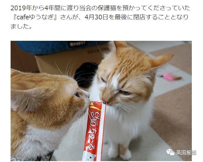 “日本最省钱女孩”火了！每天只花10块，33岁买下三栋房