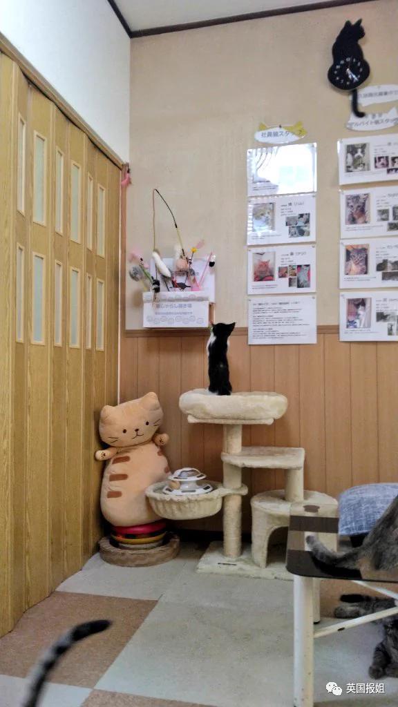 “日本最省钱女孩”火了！每天只花10块，33岁买下三栋房