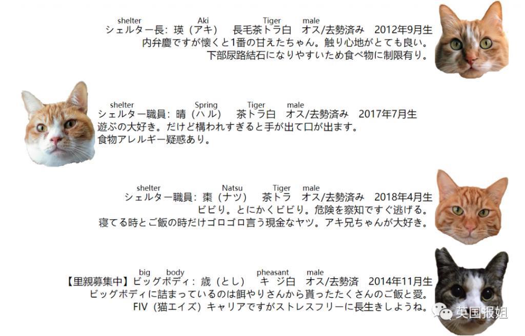 “日本最省钱女孩”火了！每天只花10块，33岁买下三栋房