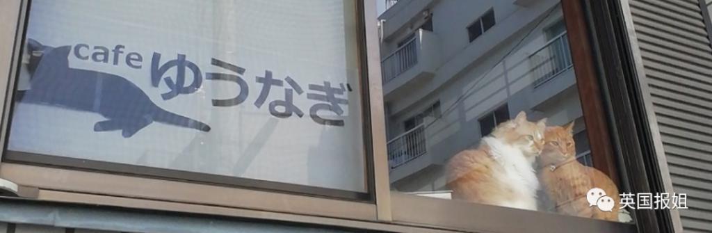 “日本最省钱女孩”火了！每天只花10块，33岁买下三栋房