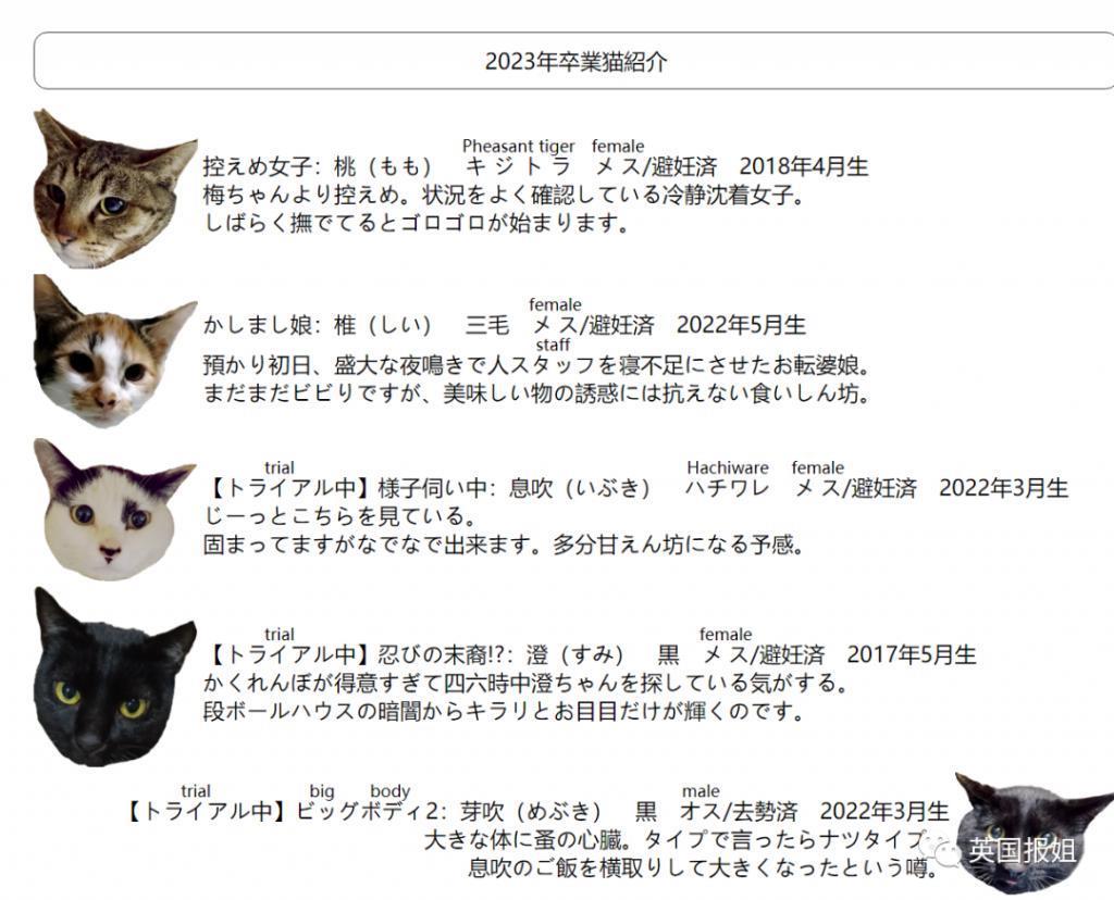 “日本最省钱女孩”火了！每天只花10块，33岁买下三栋房