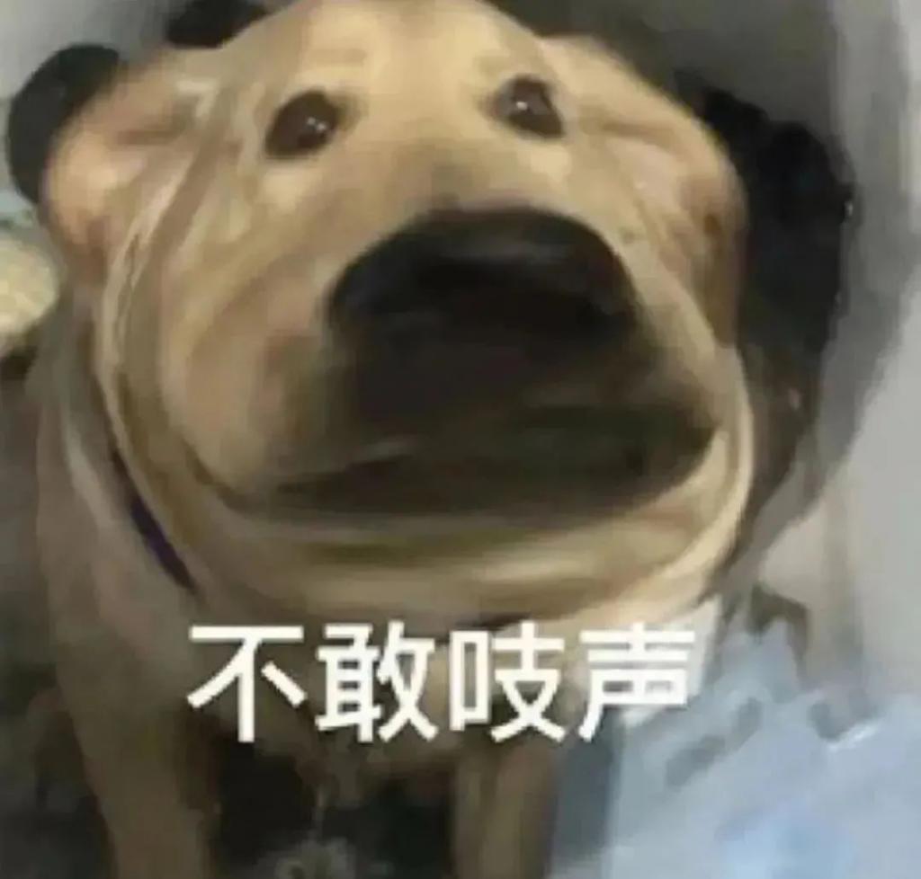 好久不见何洁了，她孩子都这么大了？