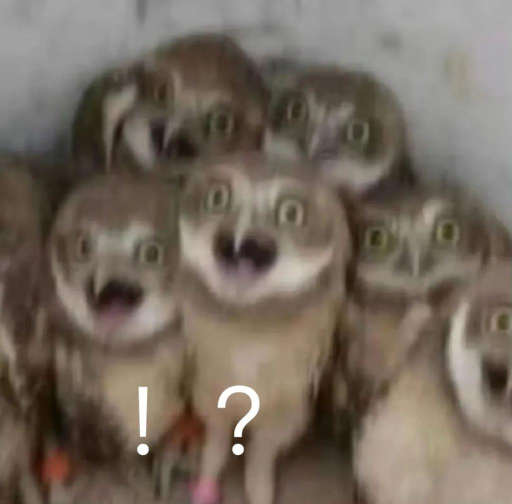 好久不见何洁了，她孩子都这么大了？