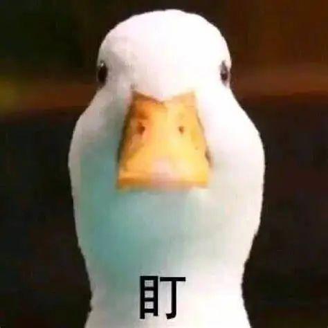 糊成这样，还好意思吹？