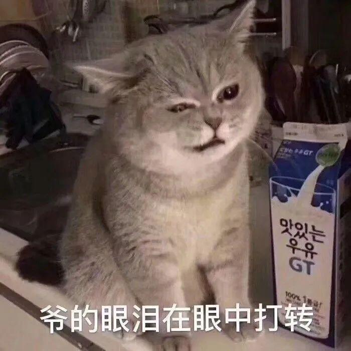 糊成这样，还好意思吹？