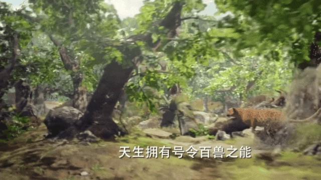 黑历史一扒，还神秘吗？