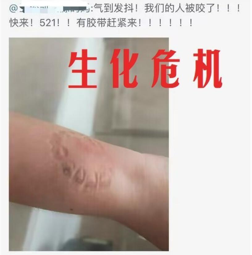 “TFBOYS的十周年，丢光了内娱的脸面”