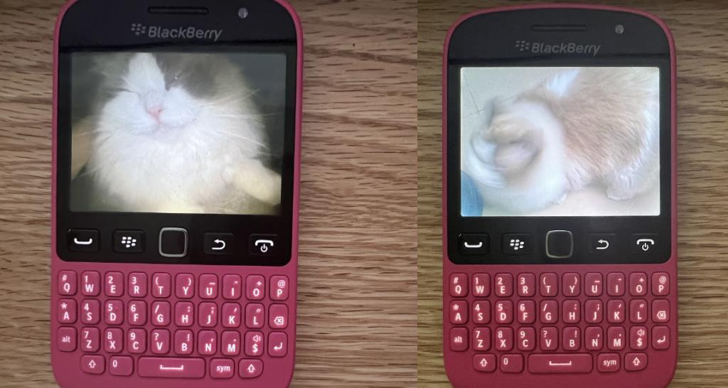 一部十年前的手机,为什么会被炒成“CCD平替”?