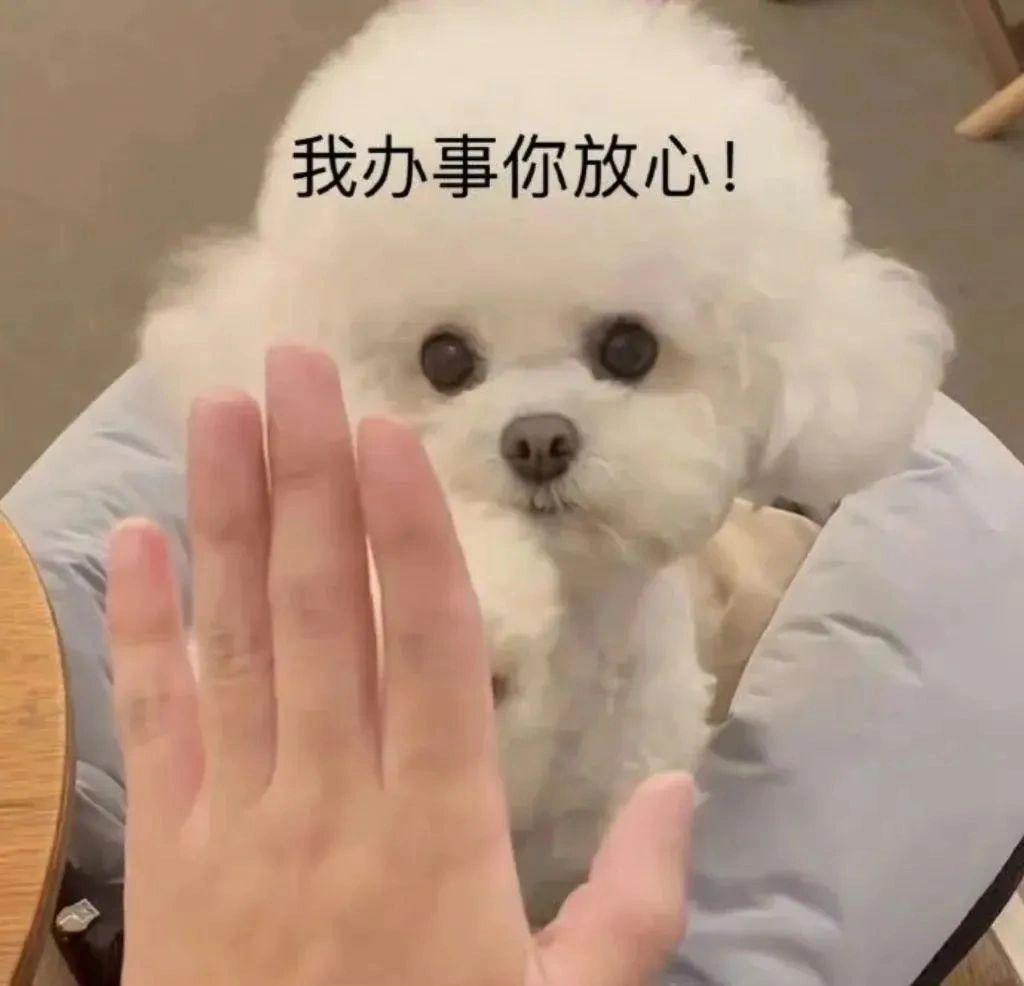 一部十年前的手机,为什么会被炒成“CCD平替”?