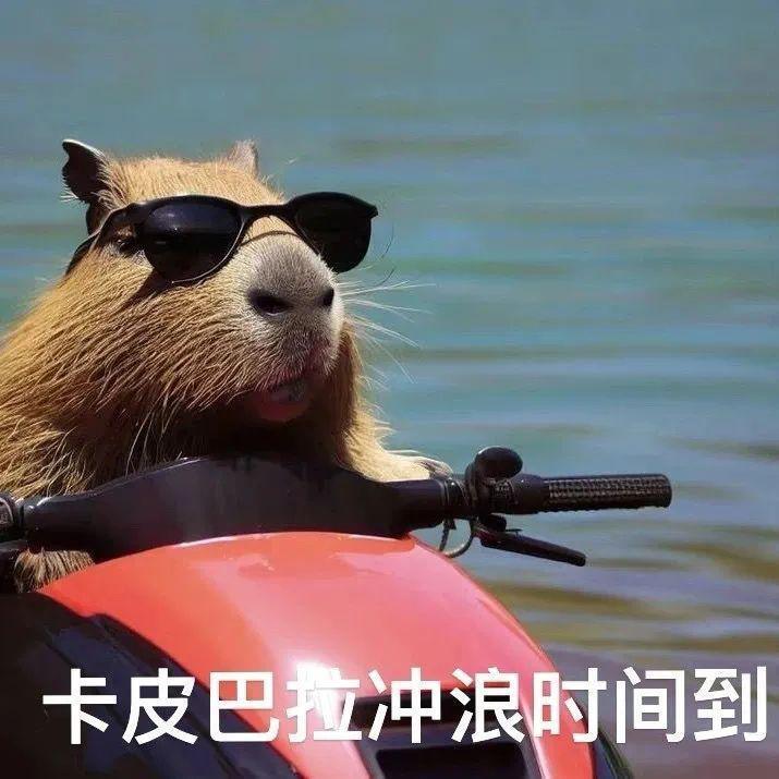 官宣11天之后，趁乱撤回了一个嫂子和一条塌房申请？