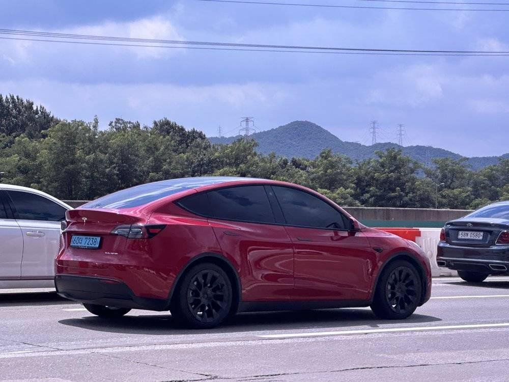 韩国人为何不买特斯拉了