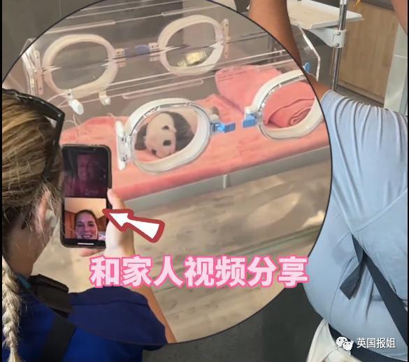 外国运动员在成都吃火锅学划拳看熊猫，网友：你们是来旅游的