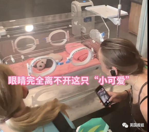外国运动员在成都吃火锅学划拳看熊猫，网友：你们是来旅游的