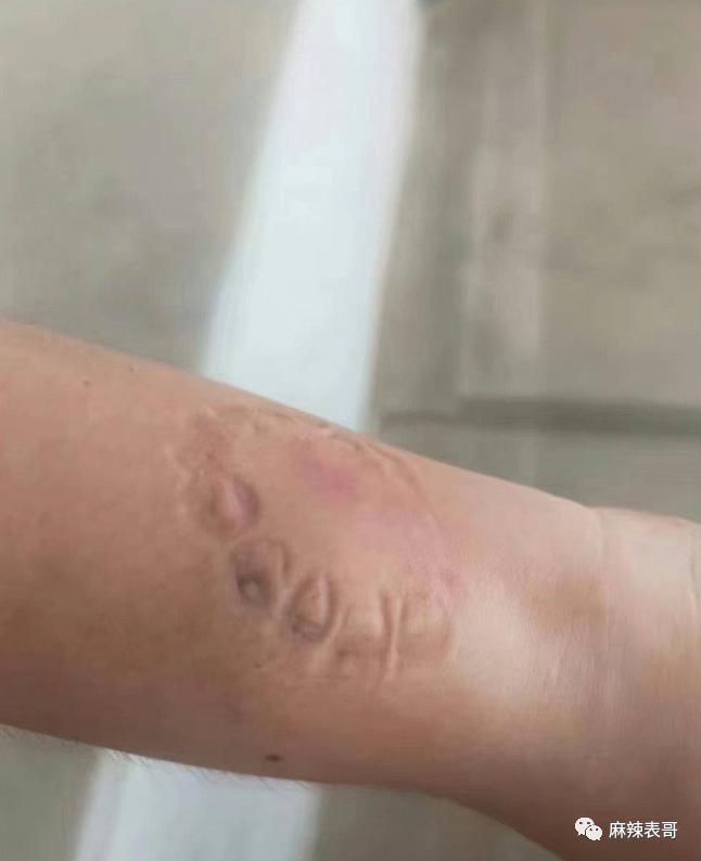 这场盛大闹剧终于结束了啊…