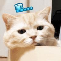 都说他们关系闹僵了？可昨天这个笑是怎么回事？